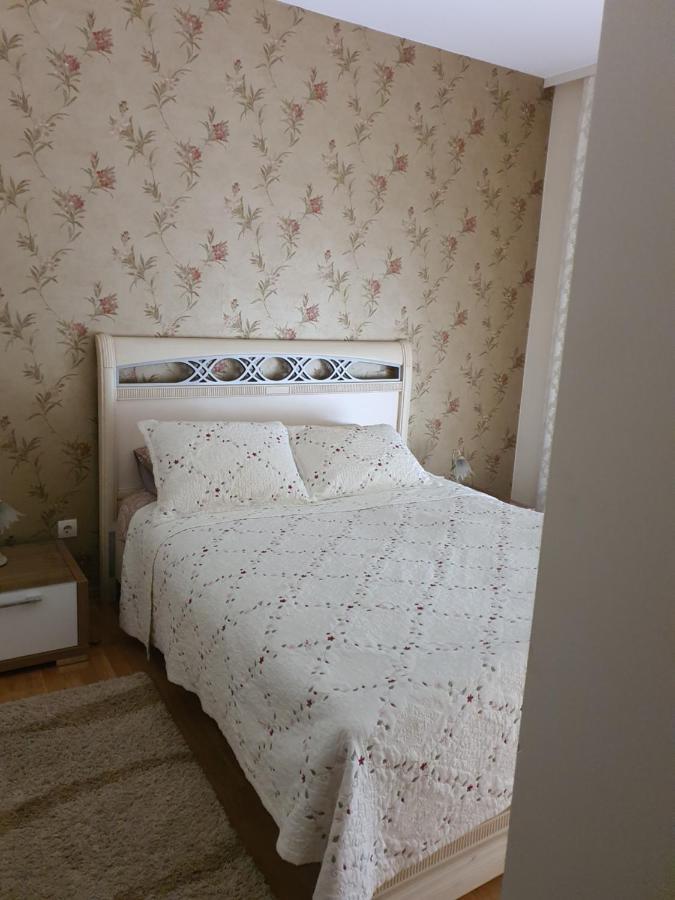 Apartments Soleado Pančevo Εξωτερικό φωτογραφία